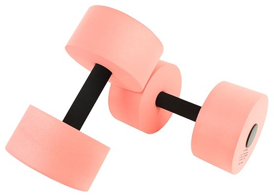 FORTRESS AQUA DUMBELLS 2PK photo